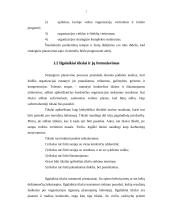 Gamybinių įmonių realizavimo strategijos formavimas: naftos telkinių paieška AB "Geonafta" 5 puslapis