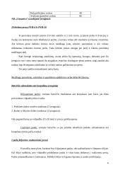 Gamybos technologija ir organizavimas: avalynės gamybos AB "Lituanica" 6 puslapis