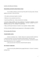 Gamybos technologija ir organizavimas: avalynės gamybos AB "Lituanica" 7 puslapis