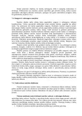 Gamyklos projektavimas ir statyba. Statybos darbų technologija ir organizavimas 19 puslapis