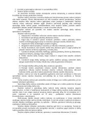 Gamyklos projektavimas ir statyba. Statybos darbų technologija ir organizavimas 20 puslapis
