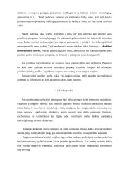 Gamyklos projektavimas ir statyba. Statybos darbų technologija ir organizavimas 6 puslapis