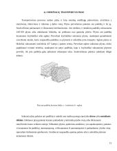 Gaminių poreikio nustatymas, tiekimas, planavimas ir pristatymas 13 puslapis