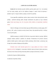 Gamtai neegzistuoja valstybės sienos 4 puslapis