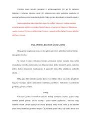 Gamtai neegzistuoja valstybės sienos 5 puslapis