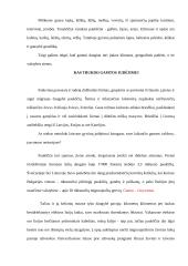 Gamtai neegzistuoja valstybės sienos 7 puslapis