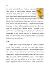 Gamtos galia - fitoterapijos poveikis žmogaus organizmui 13 puslapis