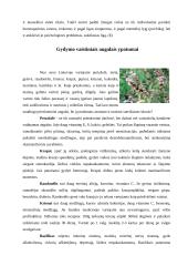 Gamtos galia - fitoterapijos poveikis žmogaus organizmui 4 puslapis