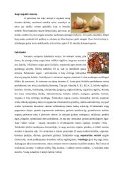 Gamtos galia - fitoterapijos poveikis žmogaus organizmui 7 puslapis