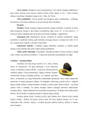 Gamtos galia - fitoterapijos poveikis žmogaus organizmui 9 puslapis