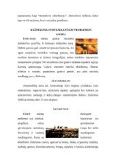 Gamtos ir žmogaus apsaugos sąveika 2 puslapis