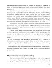 Gamtos išteklių panaudojimo problema 12 puslapis