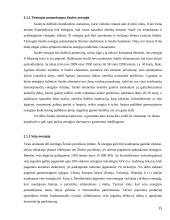 Gamtos išteklių panaudojimo problema 15 puslapis