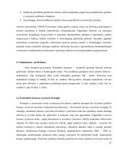 Gamtos išteklių panaudojimo problema 17 puslapis