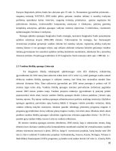 Gamtos išteklių panaudojimo problema 18 puslapis