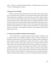 Gamtos išteklių panaudojimo problema 19 puslapis