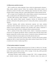 Gamtos išteklių panaudojimo problema 20 puslapis