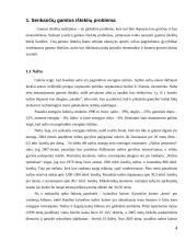 Gamtos išteklių panaudojimo problema 4 puslapis