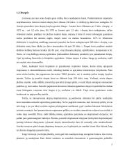 Gamtos išteklių panaudojimo problema 7 puslapis