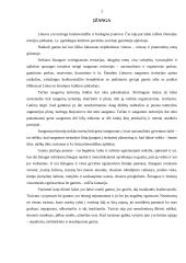 Gamtos įtaka turizmo vystymuisi Lietuvoje 2 puslapis