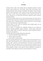 Geležinkelio transportas 14 puslapis