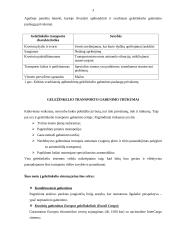 Geležinkelio transportas 3 puslapis