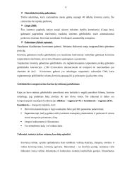 Geležinkelio transportas 4 puslapis