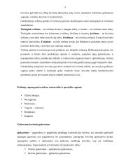 Geležinkelio transportas 5 puslapis