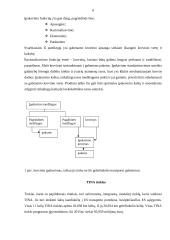 Geležinkelio transportas 6 puslapis
