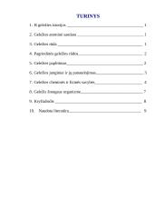 Geležis (Fe) 13 puslapis