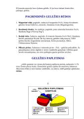 Geležis (Fe) 6 puslapis