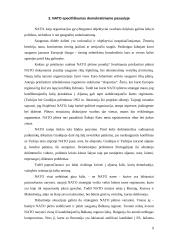 Geopolitinė situacija šiuolaikiniame pasaulyje 8 puslapis