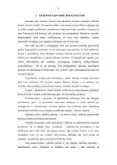 Gerumas ir dora 2 puslapis