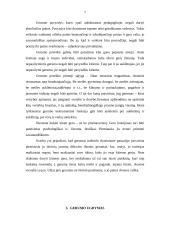 Gerumas ir dora 5 puslapis