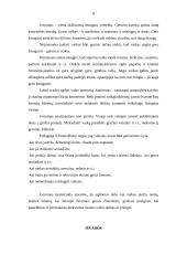 Gerumas ir dora 6 puslapis