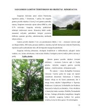 Gimtojo rajono aplinka: Šakių rajonas 19 puslapis