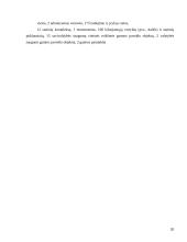 Gimtojo rajono aplinka: Šakių rajonas 20 puslapis