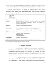 Gyvenimo aprašymas (CV): sudarymas, analizė, vertinimas 15 puslapis