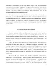 Gyvenimo aprašymas (CV): sudarymas, analizė, vertinimas 19 puslapis