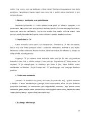 Gyvenimo aprašymas (CV): sudarymas, analizė, vertinimas 10 puslapis