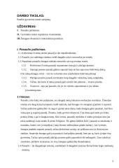 Gyvenimo esmės samprata 3 puslapis