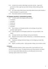 Gyvenimo esmės samprata 6 puslapis