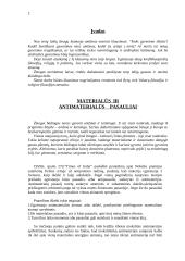 Gyvenimo prasmė ir gyvenimo tikslas 2 puslapis