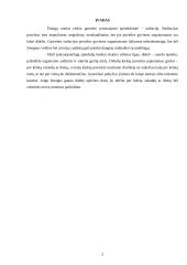 Gyventojų ir turto apsaugos organizavimas įvykus radiacinei avarijai 2 puslapis