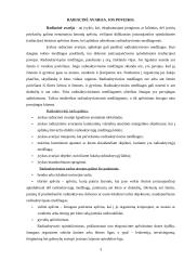 Gyventojų ir turto apsaugos organizavimas įvykus radiacinei avarijai 3 puslapis