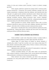 Gyventojų užimtumo perspektyvos ir darbo rinka 12 puslapis