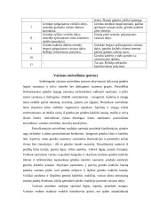 Gyvulių vaikingumo požymiai ir atsivedimas 5 puslapis