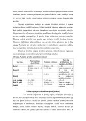 Gyvulių vaikingumo požymiai ir atsivedimas 6 puslapis