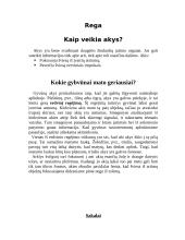 Gyvūnų jutimo organų įvairovė 2 puslapis