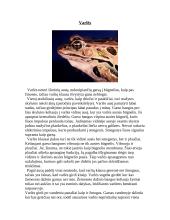 Gyvūnų jutimo organų įvairovė 12 puslapis